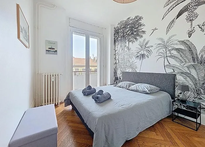 Le Semard- Superbe Hypercentre 4 Personnes * Βαλένς